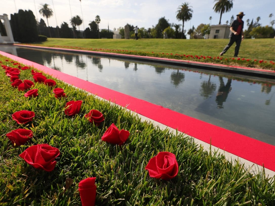 A Rose River Memorial tribute installation for the 400,000 deceased U.S. victims of the COVID-19 pandemic is seen at Hollywood Forever Cemetery on January 19, 2021 in Los Angeles, California. 