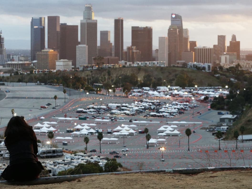 A person sits on a hillside as cars are lined up with people waiting to receive vaccines at a mass COVID-19 vaccination site at Dodger Stadium, with the downtown skyline in the background, on January 22, 2021 in Los Angeles.