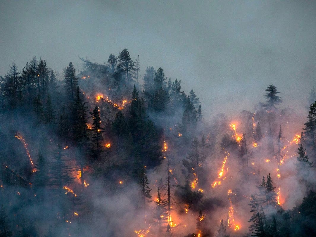 The Bobcat fire burns through the Angeles National Forest on Sept. 11, 2020, north of Monrovia, California. 