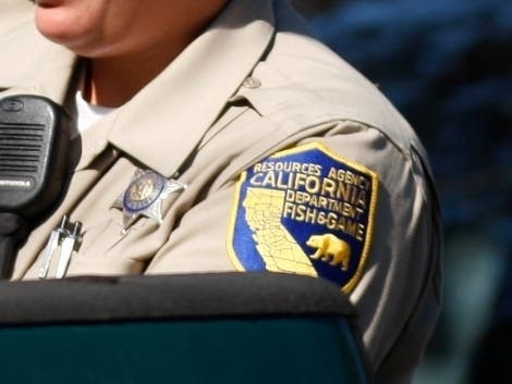 The big female cat was reported to officials Monday, which prompted a response from Palm Springs police and the California Department of Fish and Wildlife.