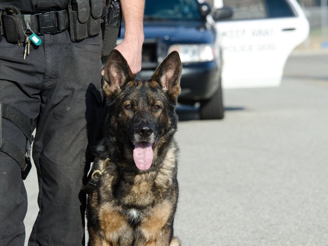 The event, which has traditionally brought police and sheriff departments from across the region, as well as Mexico and out-of-state, will be held at Murrieta Mesa High School.