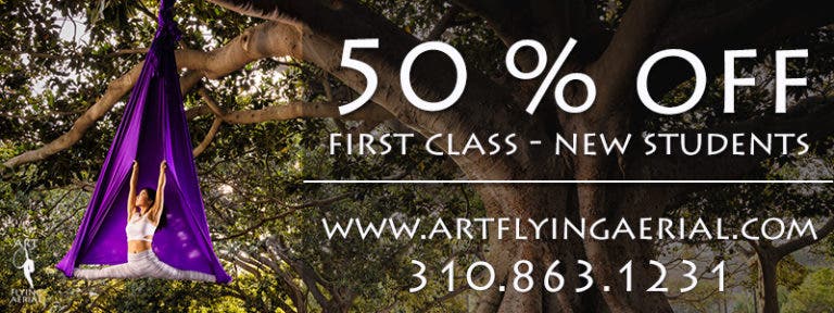 Art Flying Aerial