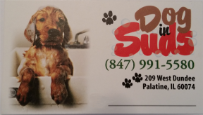 Dog In Suds Grooming Palatine
