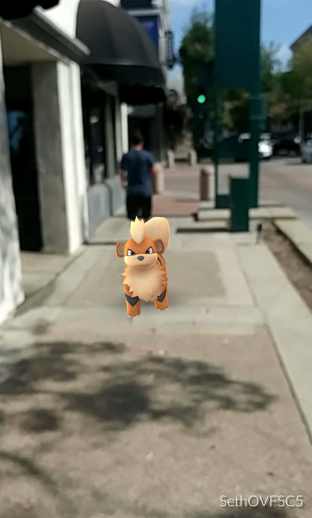 Pokemon Go Growlithe captured just prior to real life capture (credit Javier Socha)