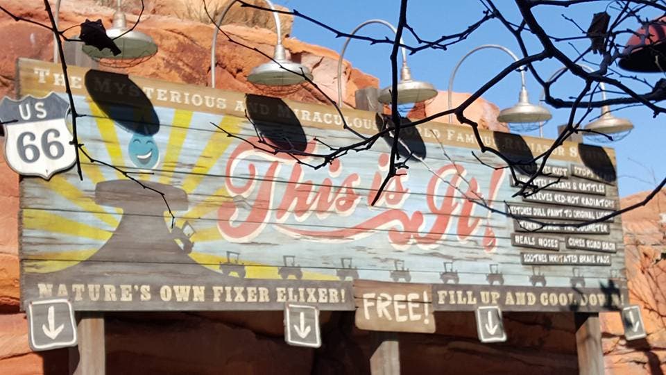cars land Rapid Racers Disneyland Ashley Ludwig Photo