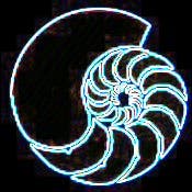 ShellWellness Logo