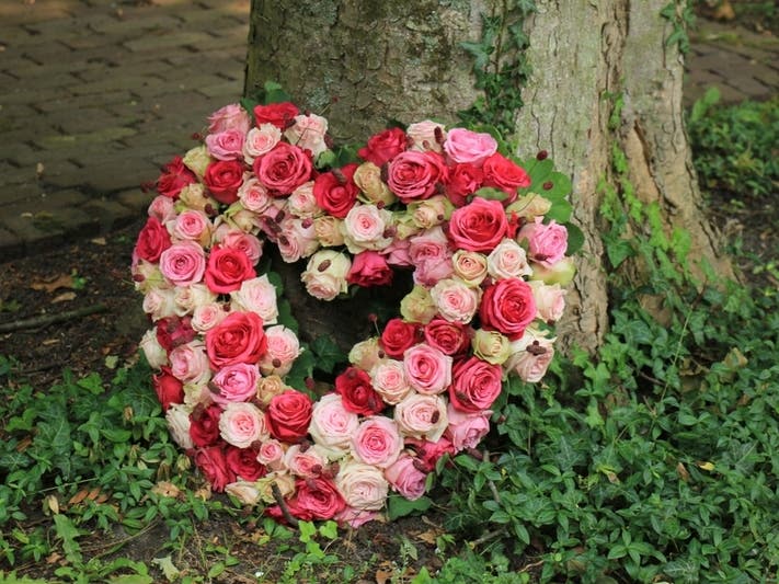 Enfield Obituaries Canevari, Carenzo, LaBel, Quail, Raimo, Smith