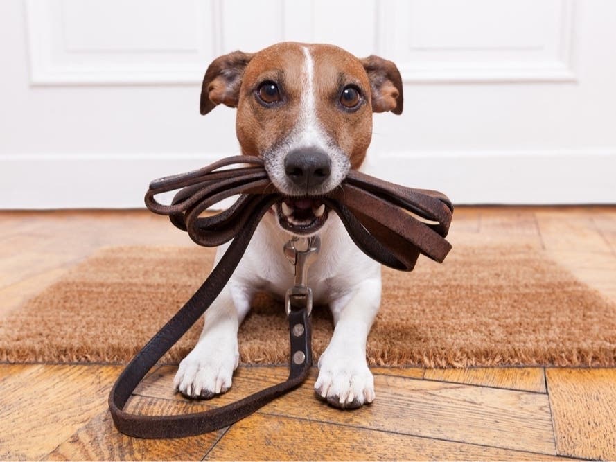 'Meticulously Renovated' Southport Home For Sale