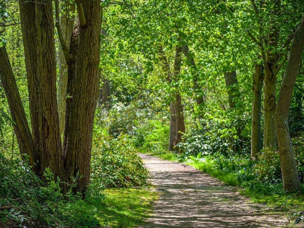 Madison Conservation Commission To Review Land Use Priorities, Zoning Update