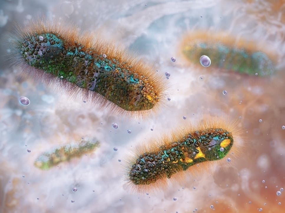 Drug-Resistant Stomach Bug On The Rise: What To Know In PA