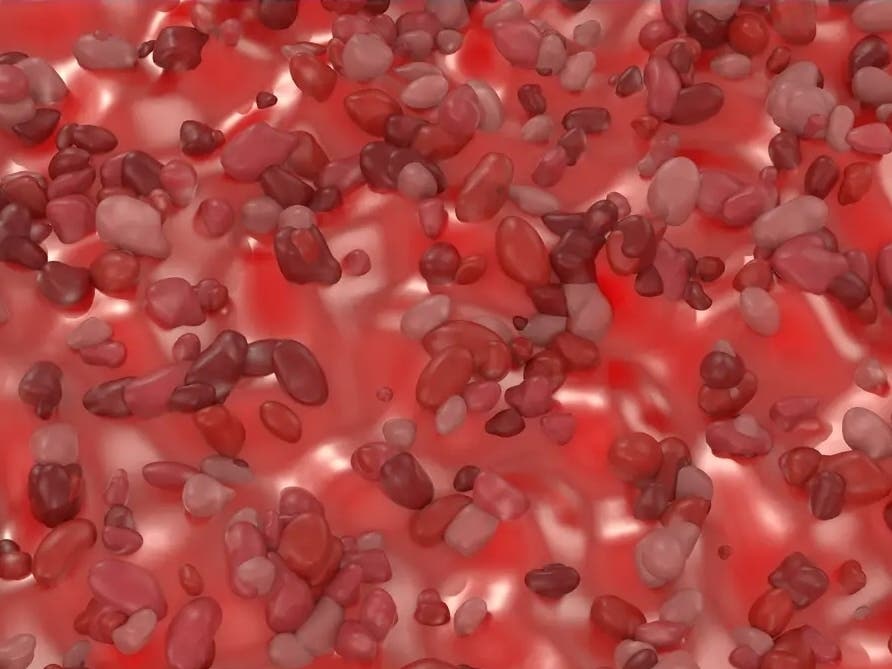 Parasite Cases Increasing In PA: See Latest Data, Products To Avoid 