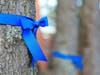 119 police officers died in the line of duty so far in 2021; coronavirus was the no. 1 killer so far, causing 63 of those deaths.