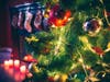 Buy the gift card for yourself, or it makes a nice stocking stuffer and encourages people to support small, local businesses.