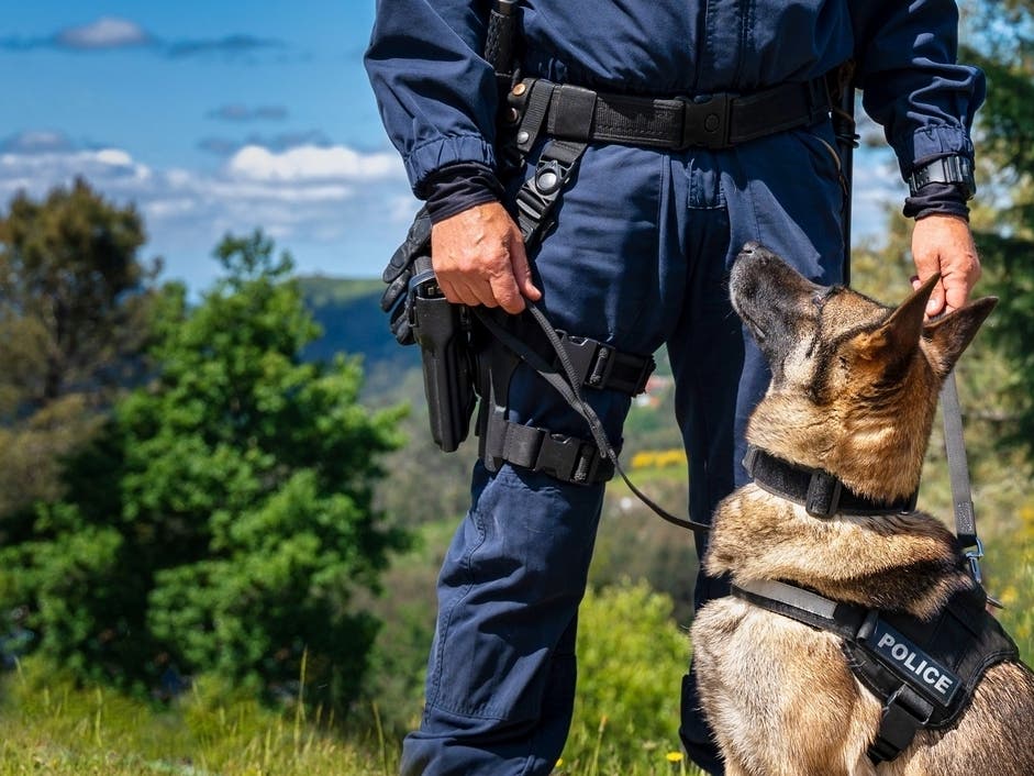 'Oh, Good Girl!': Bodycam Captures Moment Sheriff K-9 Finds Missing Man