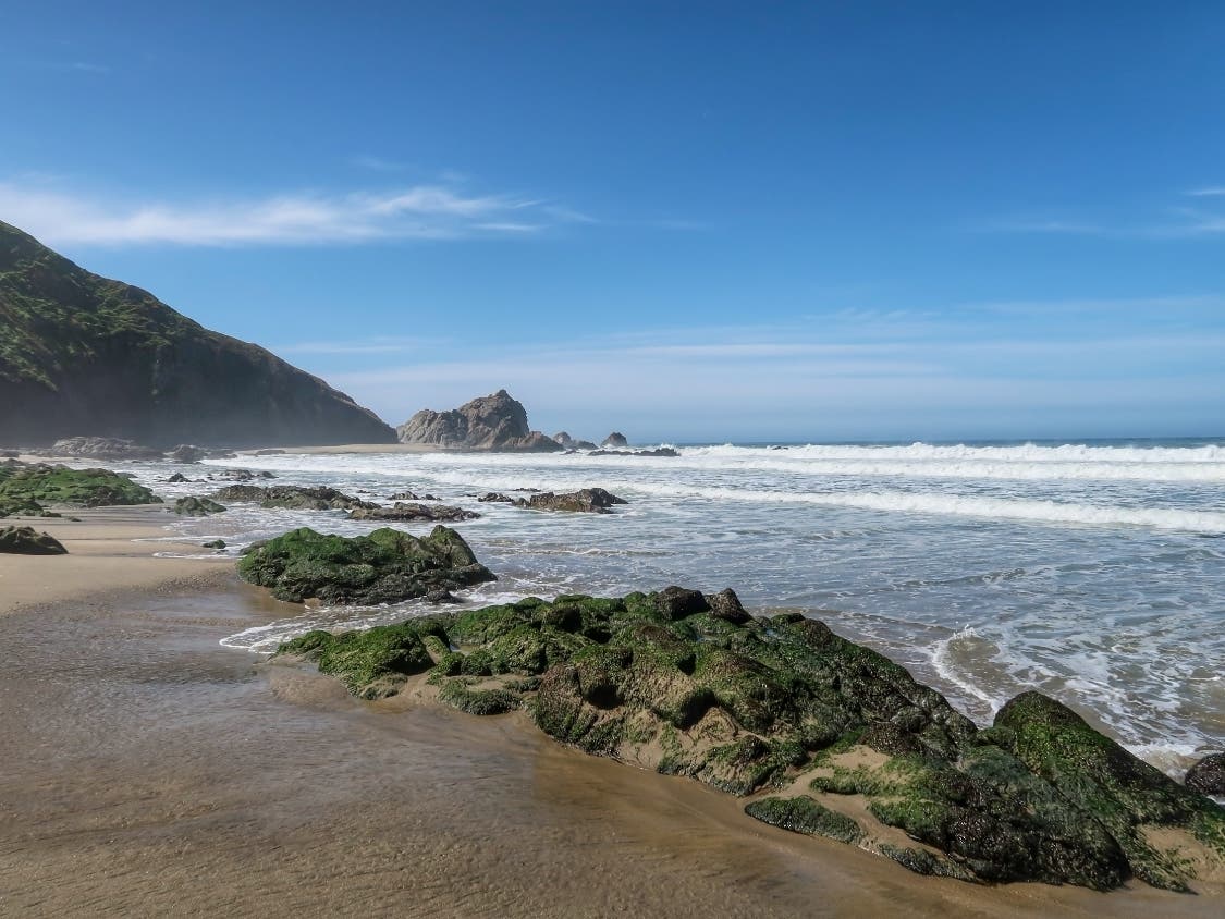 Point Reyes Seashore Closes Gates After Surge In Visitors | Novato, CA ...