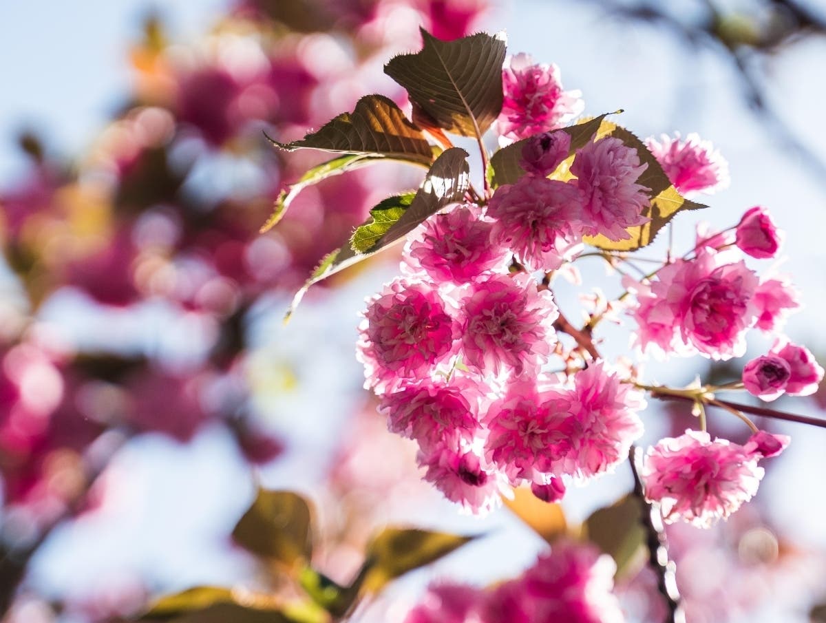 Patch reader Alexander Magnuson shared this photo.