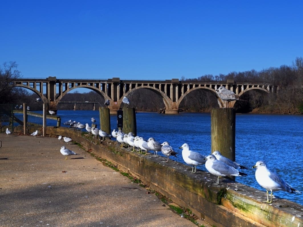 Best New Restaurant + Card Skimmers + Award-Winning Street: VA Business