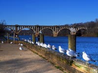 Best New Restaurant + Card Skimmers + Award-Winning Street: VA Business