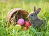 Once the snow and rain clear, kids can head toward the free West Caldwell-Caldwell Easter egg hunt.