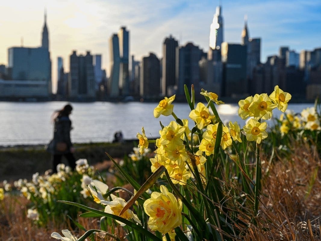 NYC Doesn't Hold A Candle To Alabama, Says New 'Best Places' Ranking