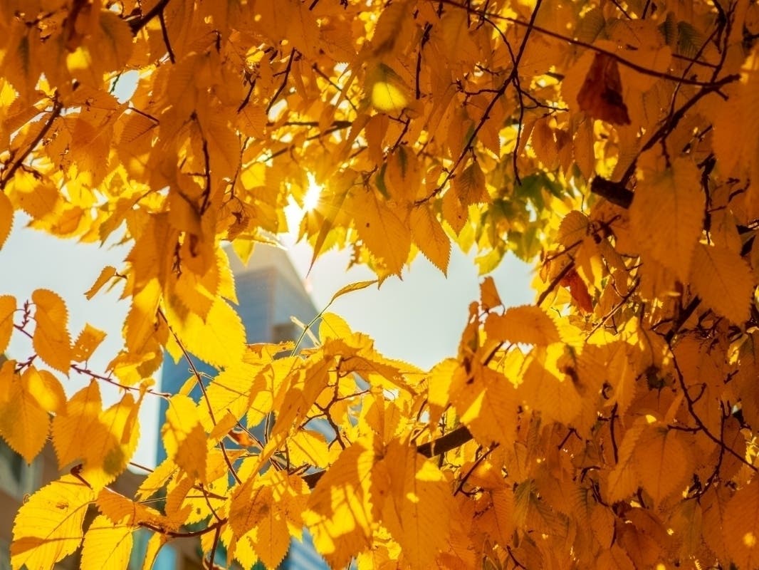 Lakewood Weather Forecast Warmer Days And Nights This Week Lakewood