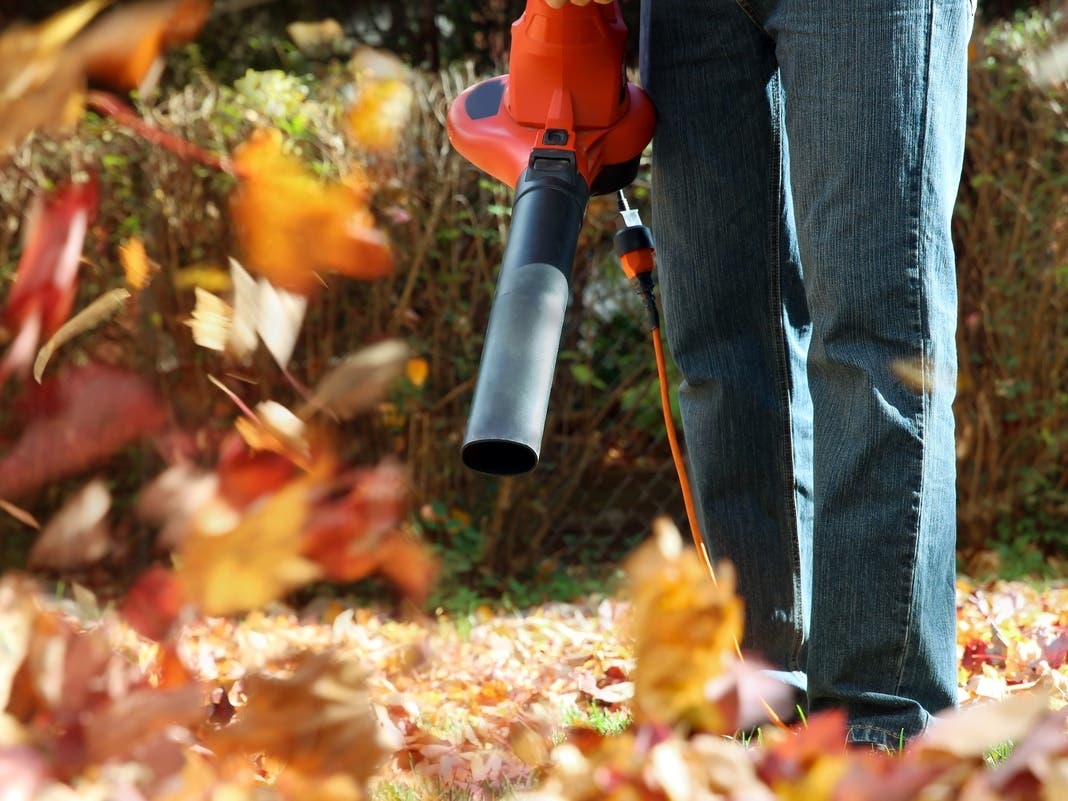 Dublin Weighs New Quiet Hours For Leaf Blowers, Amplified Sound