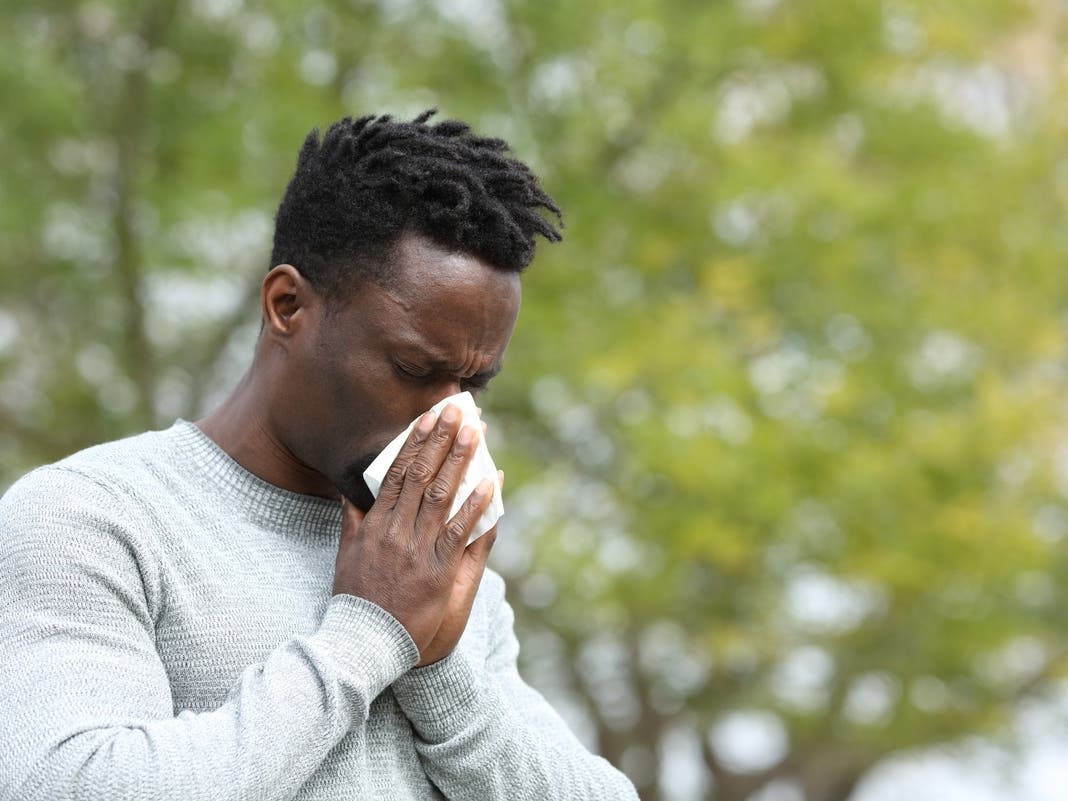Fall Allergy Forecast: These Allergens Will Be Worst In IL