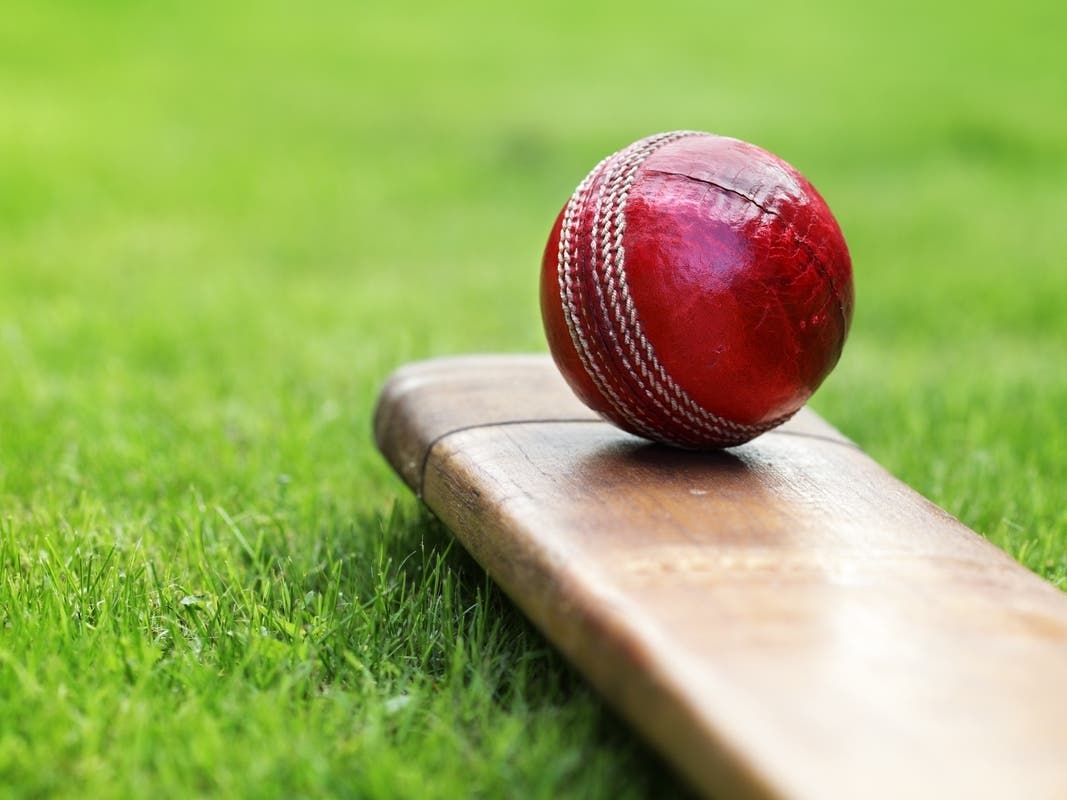Will South Brunswick Get A New Cricket Field?