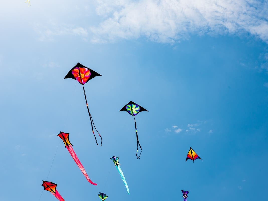 East Brunswick Fly A Kite Day Returns June 20 With Free Kites, Live Music