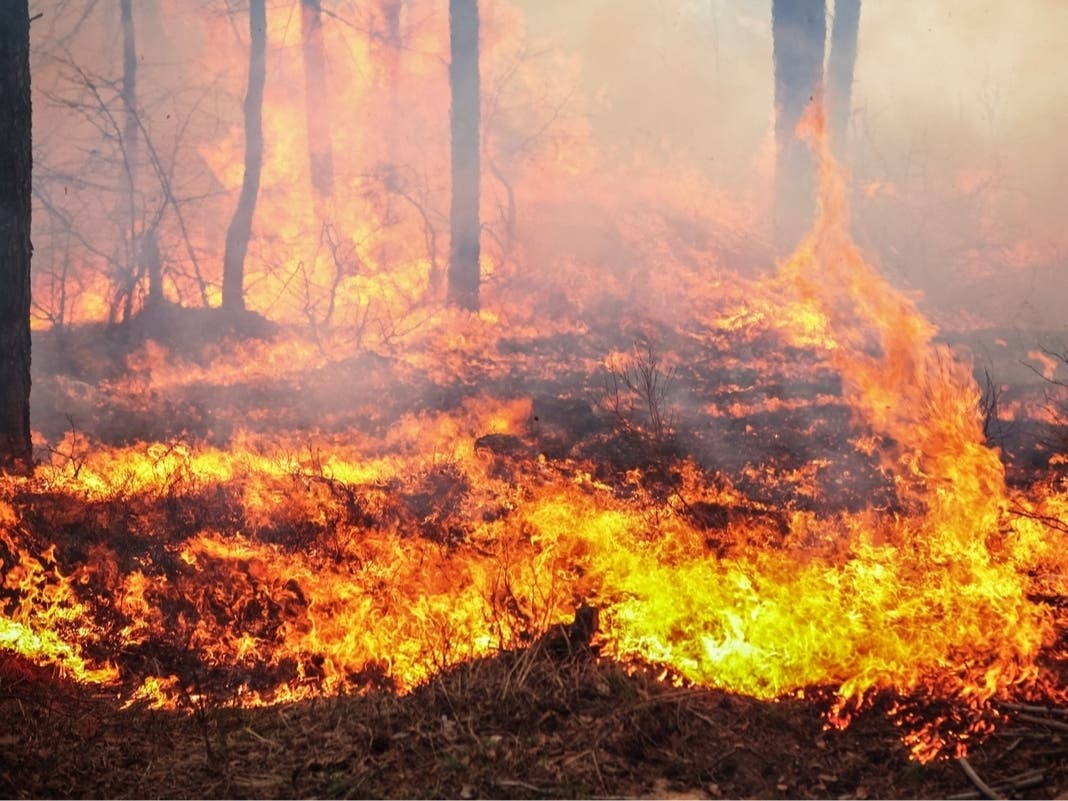 134 Wildfires Burning Across FL As Drought Continues