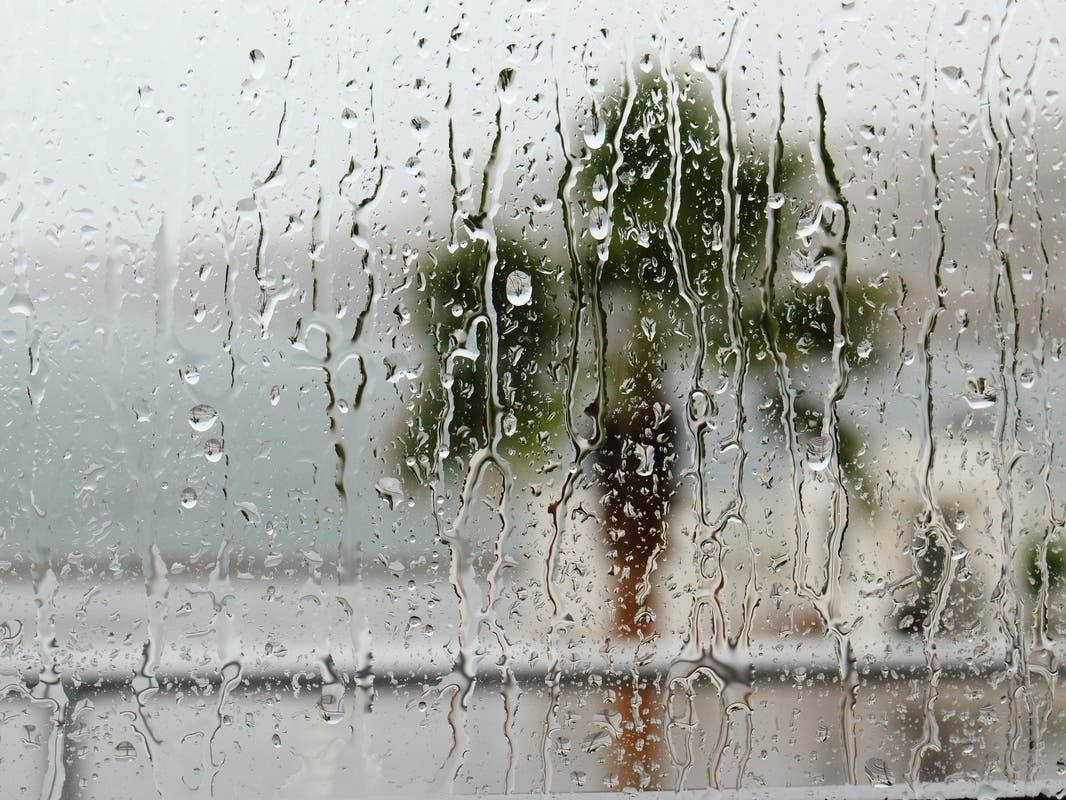 Tropical System Could Dump 10+ Inches Of Rain In Parts Of FL