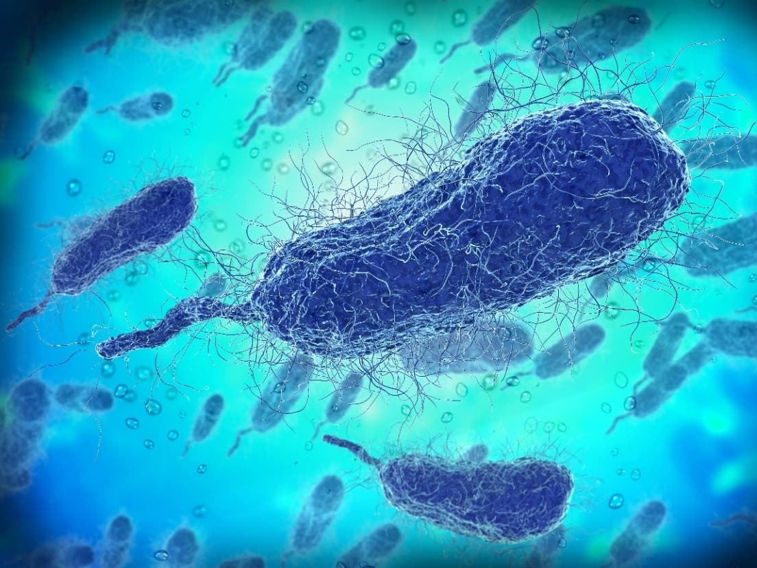 First ‘Flesh-Eating Bacteria’ Death Of The Year Reported In FL, Data Shows