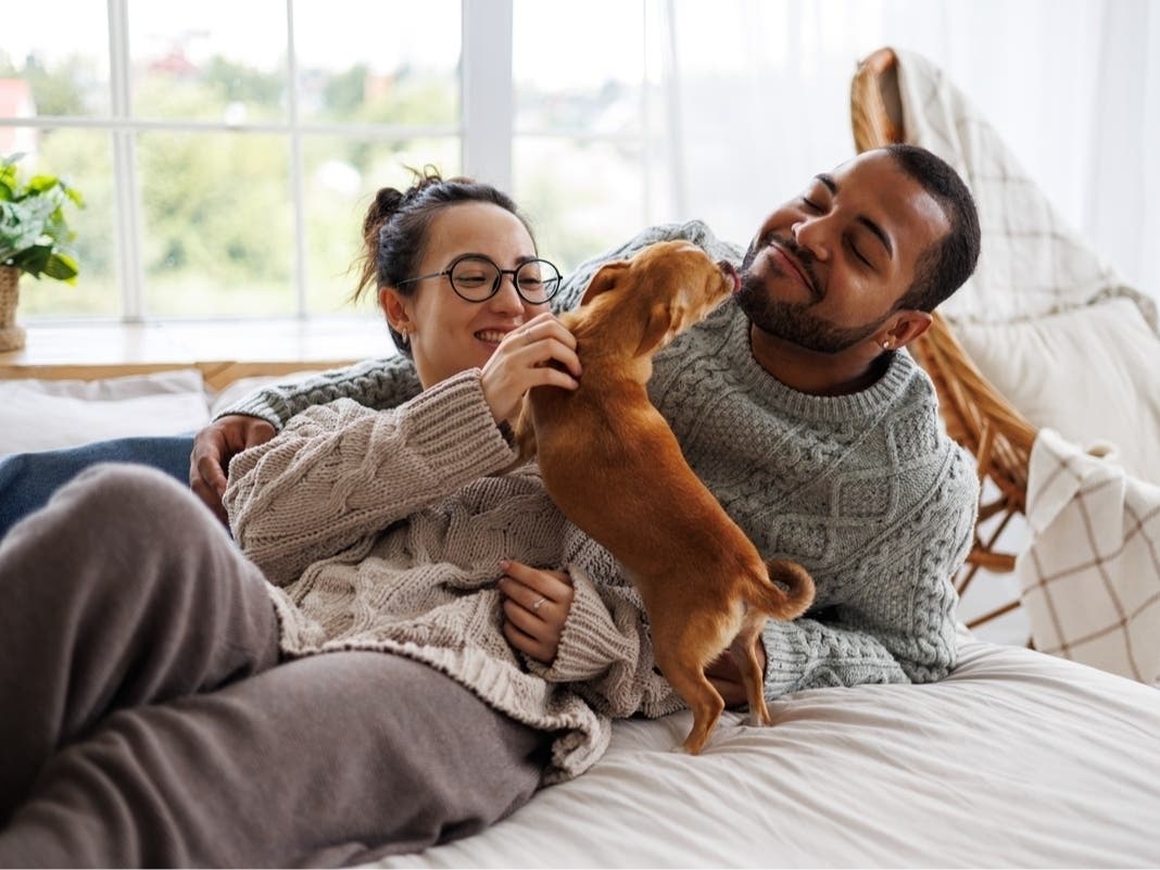3 FL Cities Among The ‘Most Pet-Friendly’ In The U.S., New Ranking Says