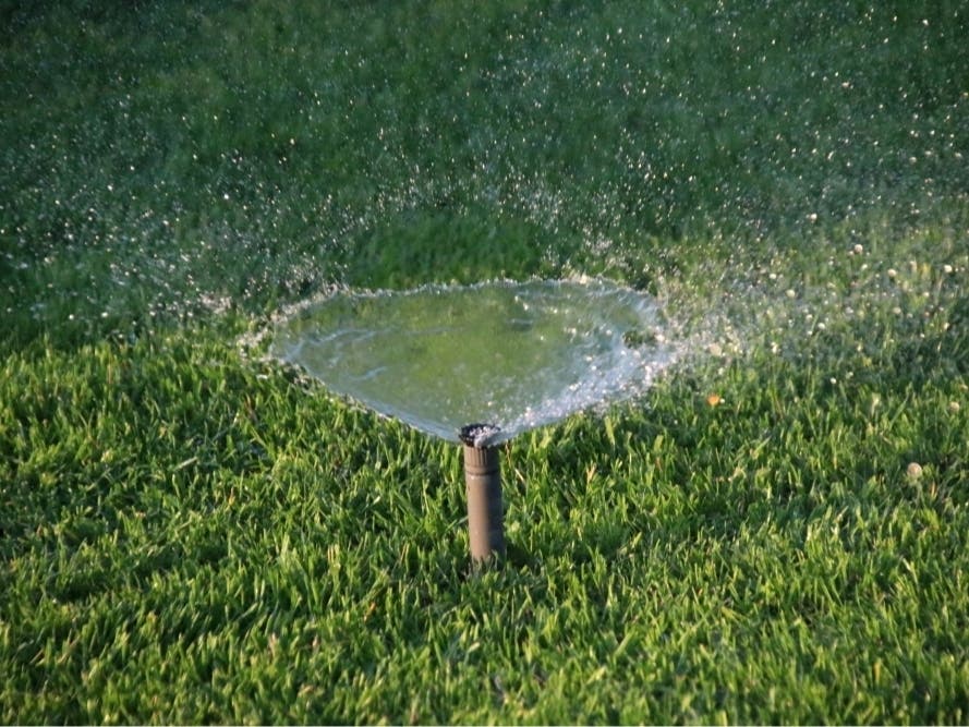Watering Restrictions Extended Into 2027 Across Tampa Bay, West FL