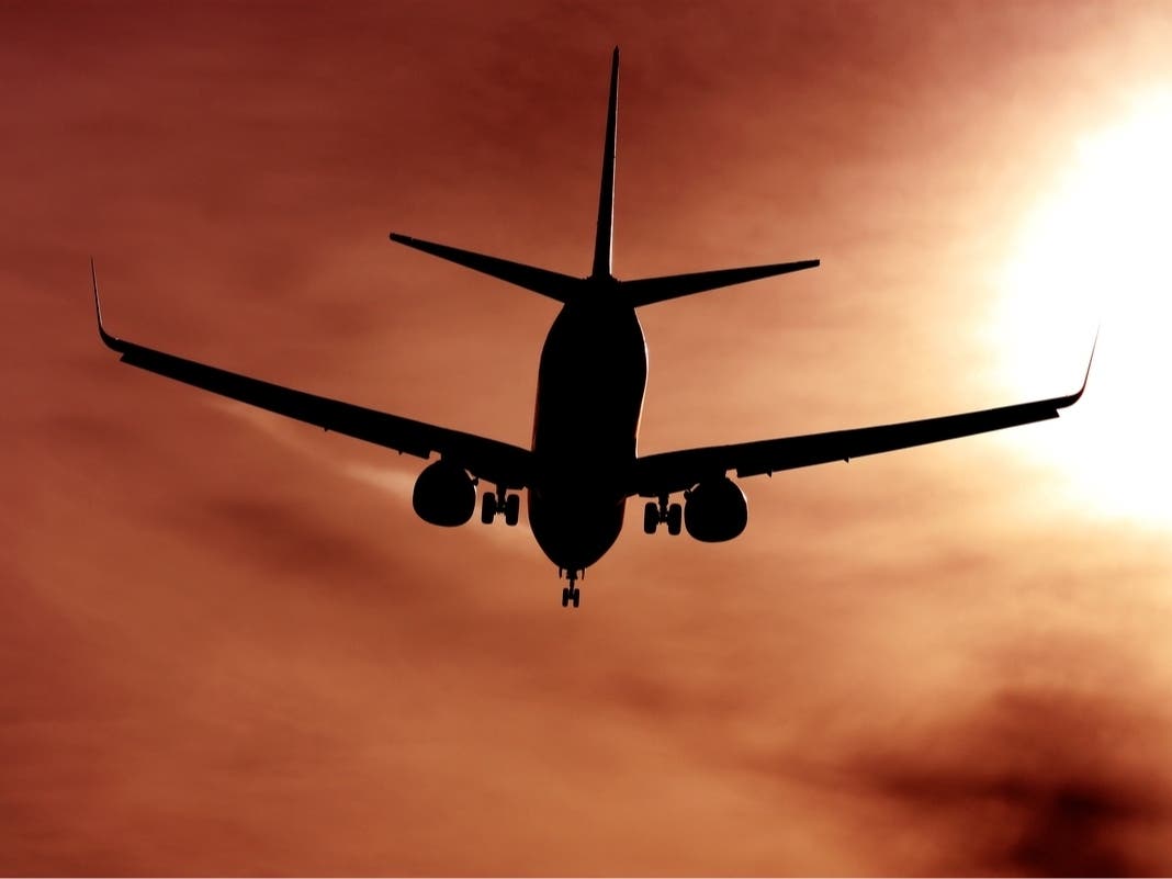 Airliner at MI's Largest Airport Faces Liquidation