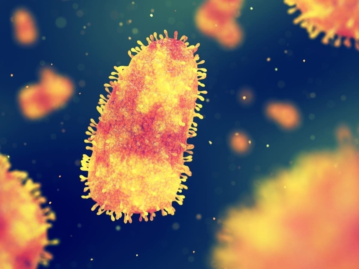 MI Man Died Of Rabies After Kidney Transplant: New Details Emerge