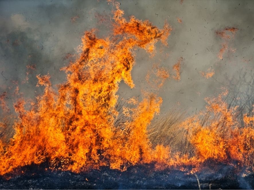 Contractors Face New Rules As Scottsdale Steps Up Wildfire Prevention Efforts