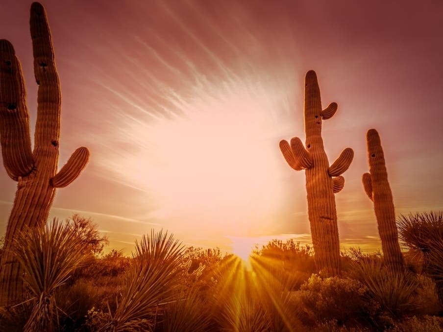 Hiker Rescued From Camelback Mountain After Heat Emergency