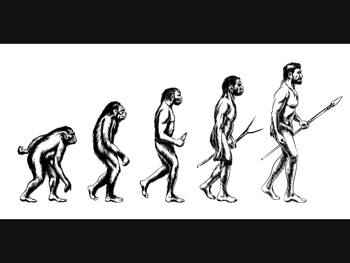 Avon Library, Smithsonian Team Up To Offer Exhibit On Evolution | Avon ...