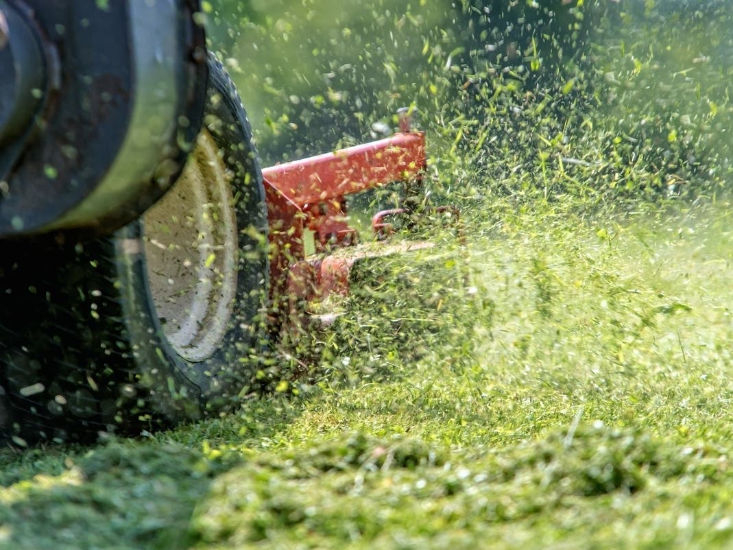 Hate Mowing? West Hartford Program Will Make You Feel Better About That ...