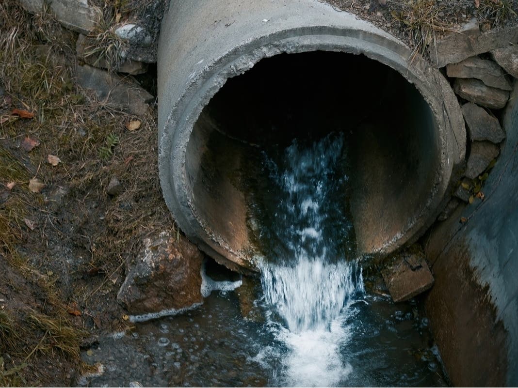 The 'Eels' Have It: Vernon Council Backs $5.1 Million Federal Culvert Grant Application