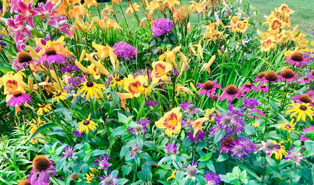 TN Nursery