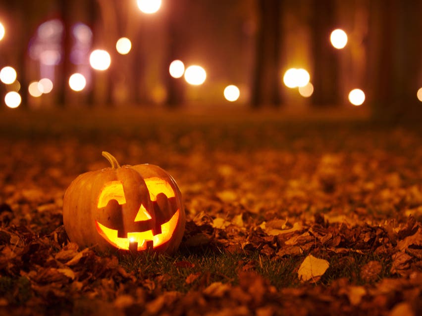 How To Compost Your Jack-O'-Lantern In Skokie