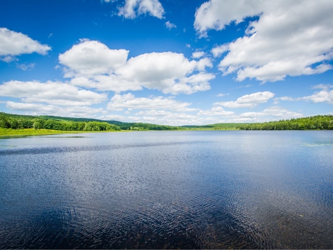 Experience the natural beauty of New Hampshire without traveling far. Concord makes it easy to spend the day exploring scenic trails, parks and outdoor escapes, with local dining and entertainment along the way.