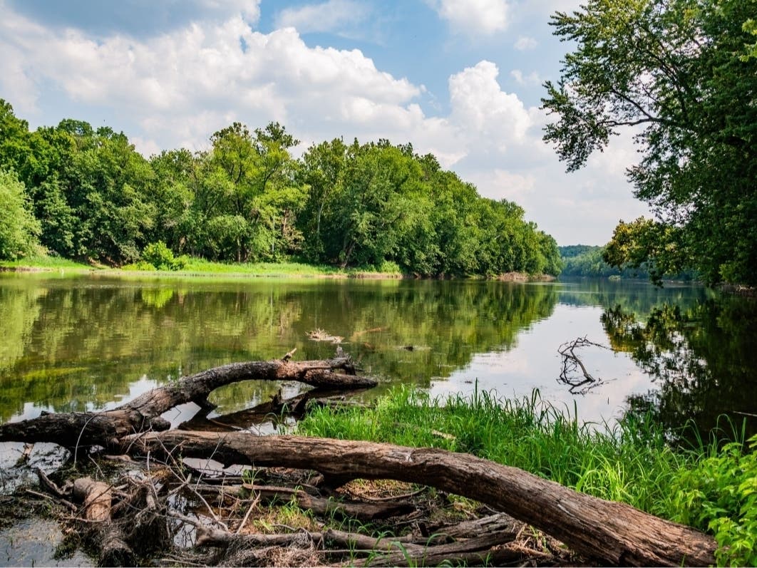 Get outside and explore Leesburg's scenic side, from Potomac River overlooks to wooded trails, parks and peaceful places to unwind. Add historic sites, downtown charm and Loudoun wine country for an easy local escape.