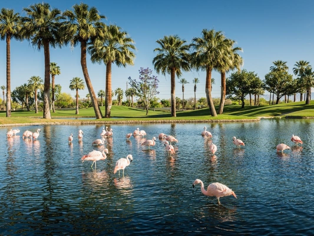 Enjoy a Palm Desert staycation with brunch, scenic desert views, family fun, shopping and local favorites. It's an easy way to make a weekend feel like a getaway without leaving town.
