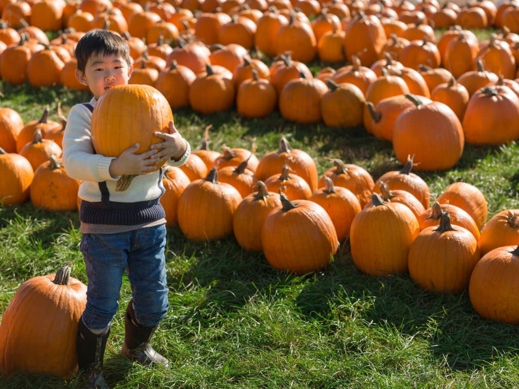 October in Doylestown is filled with seasonal fun. Here are some events and activities to check out this month.