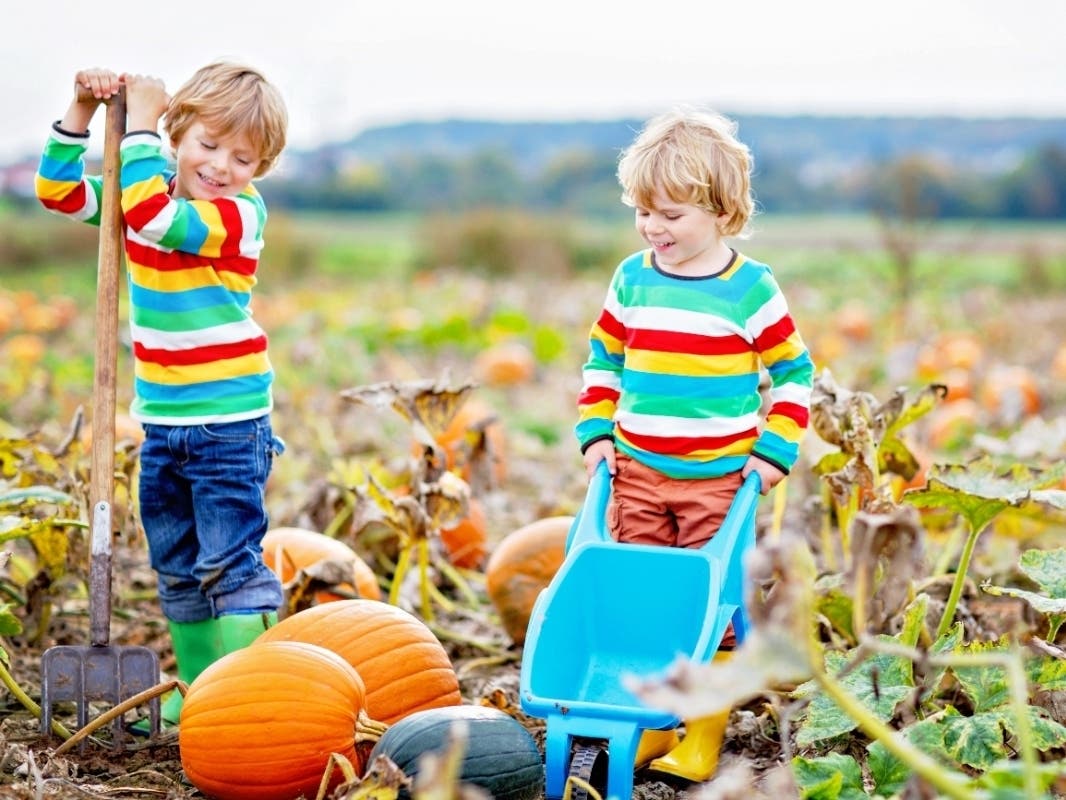 November brings plenty of ways to get out and enjoy Doylestown and the surrounding area. From holiday light displays and seasonal shopping to live theater and family fun, here's what to explore.