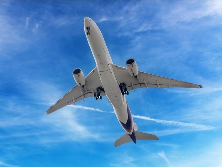 American Airlines Flight Aborts Takeoff From LaGuardia Over Bird Strike