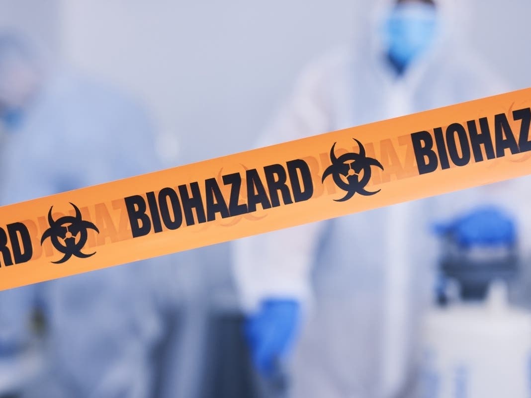 Highly Contagious Human Parvovirus Detected In Redwood City: What To Know